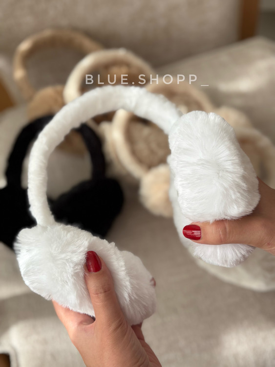 گوشگیرزمستانی